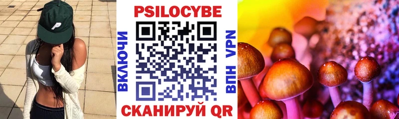 дарк нет как зайти Глазов Псилоцибиновые грибы Cubensis